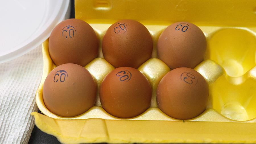 В Роскачестве определили самые прочные яйца в России