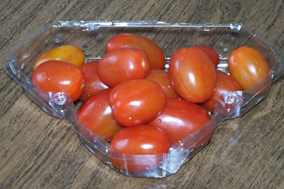 Сын Романа Абрамовича передумал выращивать помидоры на Дальнем Востоке
