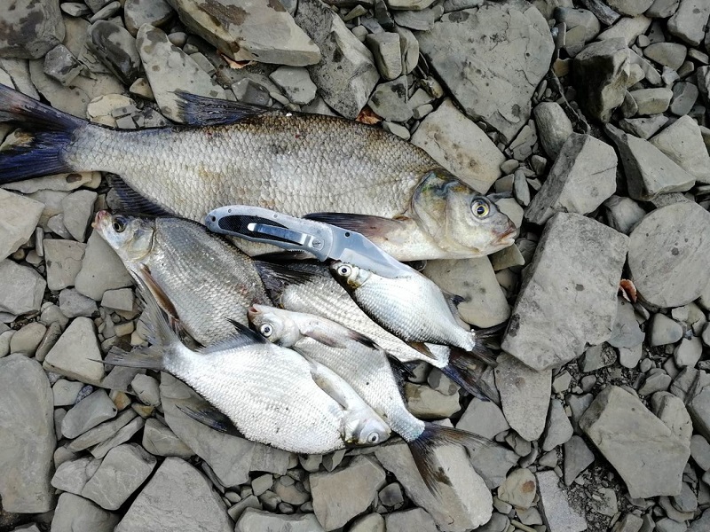 В Росрыболовстве рассказали о новых правилах любительской рыбалки