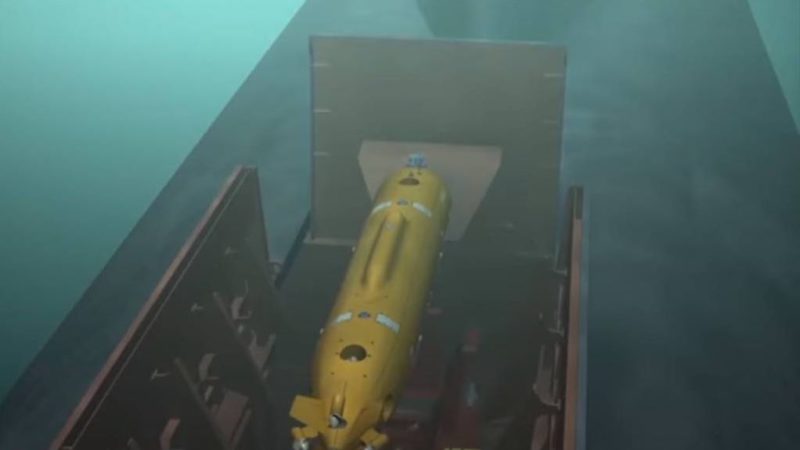 Береговую базу для подводных ядерных беспилотников «Посейдон» построят в России