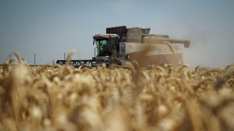 Украина запретила российскую пшеницу и бумагу