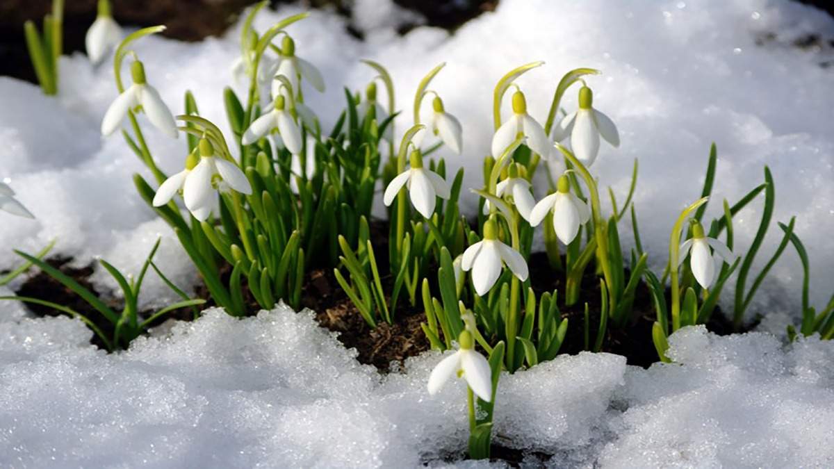 Метеоролог назвал срок наступления весны в России